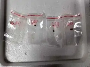 আমেরিকা কে ধ্বংসের ছক? যুক্তরাষ্ট্রের জীবাণু ঢুকিয়ে দিল চীন