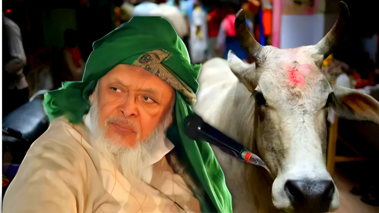 মানুষ হত্যা কেন? ইসলামের দৃষ্টিতে প্রাণী হত্যা নিয়ে দিল্লিতে বিরাট মন্তব্য!