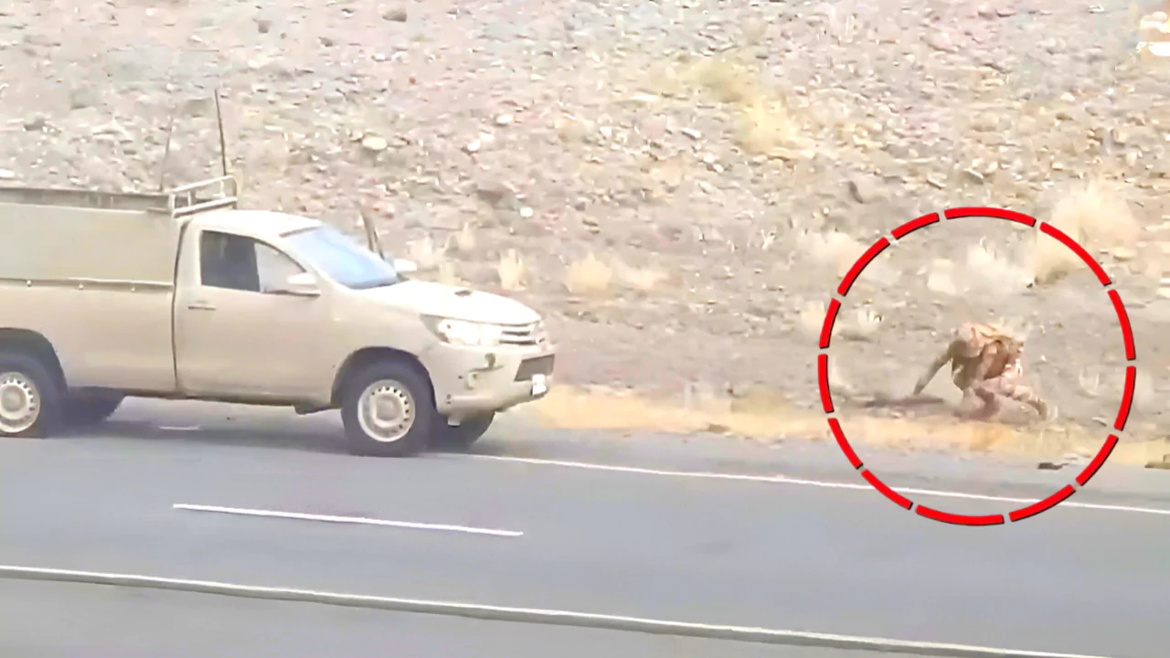 বেলুচিস্তানে বিস্ফোরক হামলা! ৩৯ জায়গায় একযোগে আঘাত বিএলএ-র