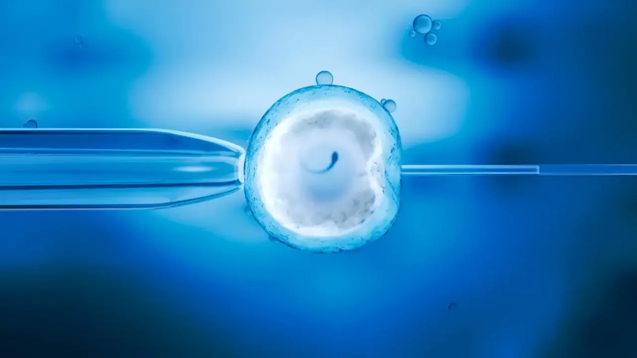 এক ব্যক্তি বদলে দিল ৮টি দেশের ভবিষ্যৎ! স্পার্ম ডোনার কাণ্ডে কাঁপছে ইউরোপ, বিস্তারিত পড়ুন