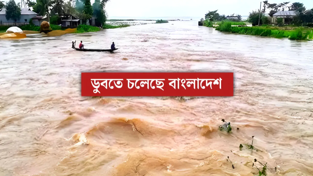 তিস্তার তাণ্ডবে ভেসে যেতে পারে বাংলাদেশ! উত্তরবঙ্গের বুকে বাড়ছে ভয়