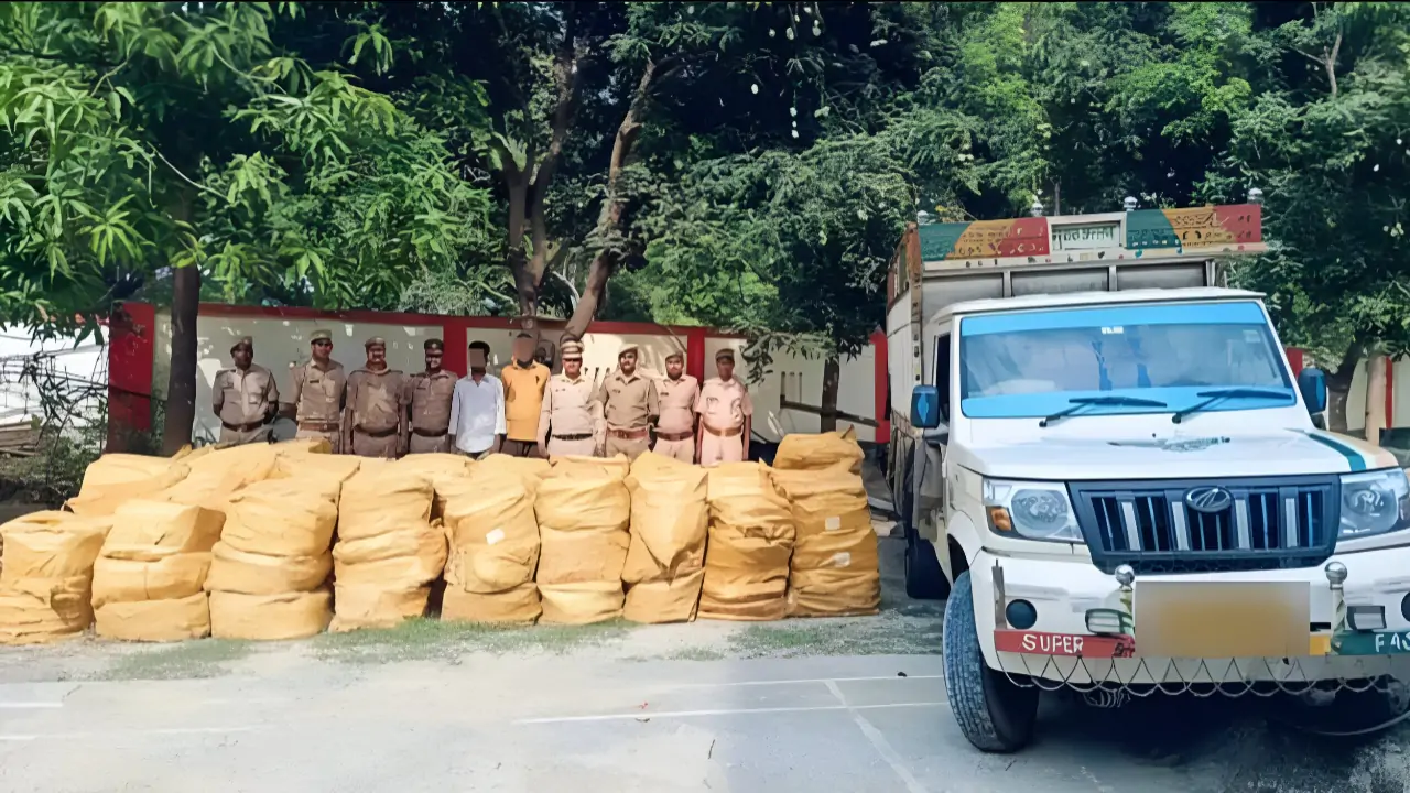 চিনের 'গুপ্ত অস্ত্র'? উত্তরপ্রদেশে মিলল ২১ হাজার সেক্স টয়, ভারতের বিরুদ্ধে গোপন ষড়যন্ত্র?