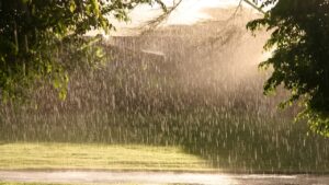 Today's Weather : আজ রোদ্দুর নাকি বৃষ্টি? নাকি অন্য কোন ইঙ্গিত? আবহাওয়া অফিসের সতর্কতায় চঞ্চল শহরবাসী!