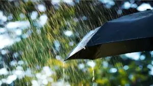 Today's Weather : বৃষ্টি নামবে? নাকি উঠবে আগুনের তাপ! ১০ জুনের আবহাওয়া নিয়ে সতর্কতা