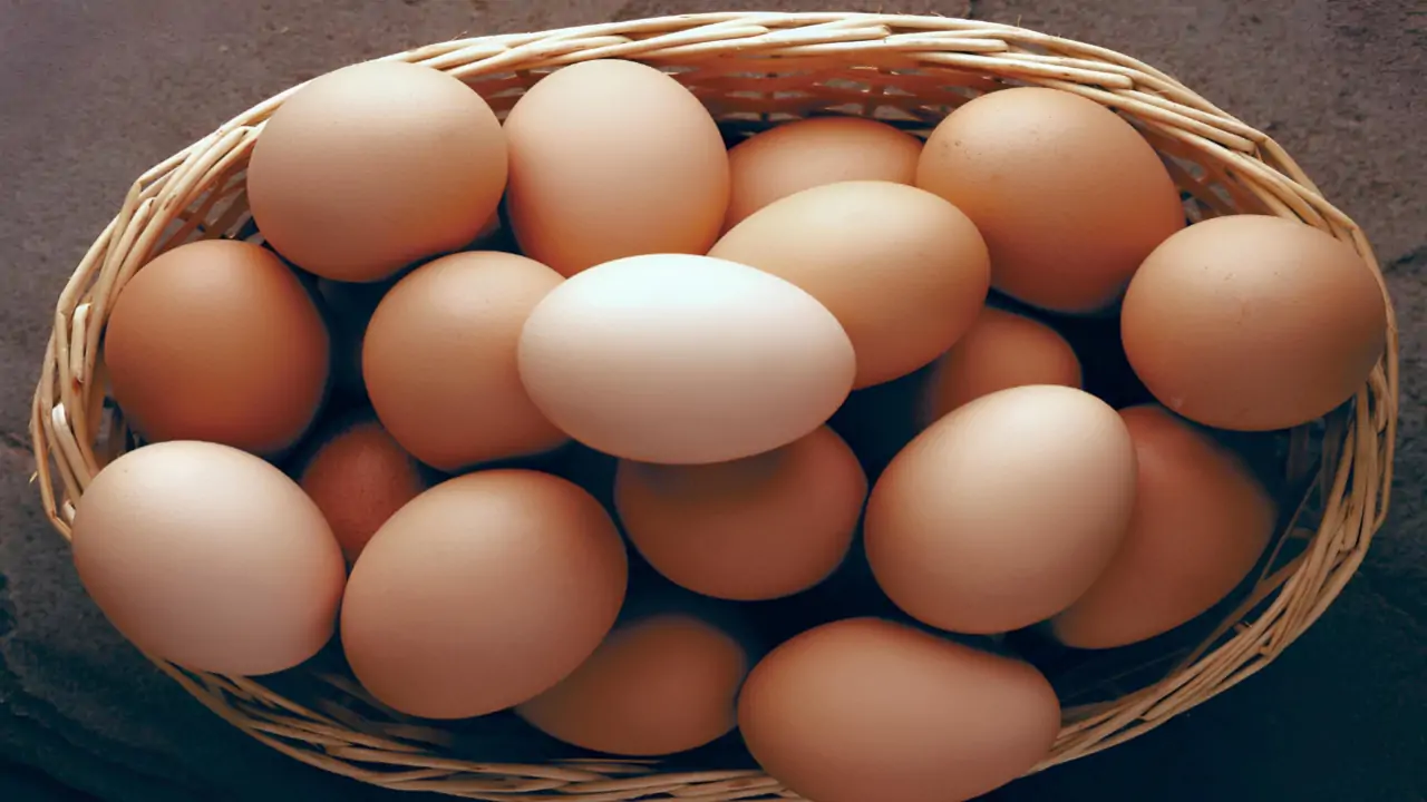 Life Style : প্রতিদিন ডিম খাচ্ছেন? অজান্তেই কি বাড়ছে হৃদরোগের ঝুঁকি? নতুন গবেষণায় মিলল চমকপ্রদ তথ্য