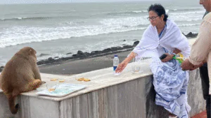 West Bengal Politics : দীঘার সৈকতে বাঁদরের সাথে চা-বিস্কুট খেলেন মমতা! কি বললেন শুভেন্দু? জানুন