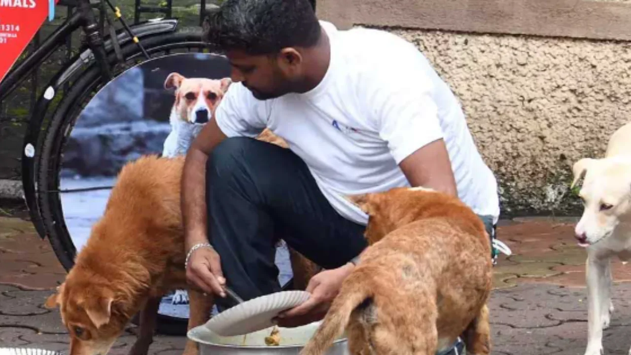 Mid Day Meal : আর শুধু পড়ুয়ারাই নয়, এবার থেকে পথ কুকুরদের মিড-ডে মিলের ব্যবস্থা করতে হবে শিক্ষকদের!