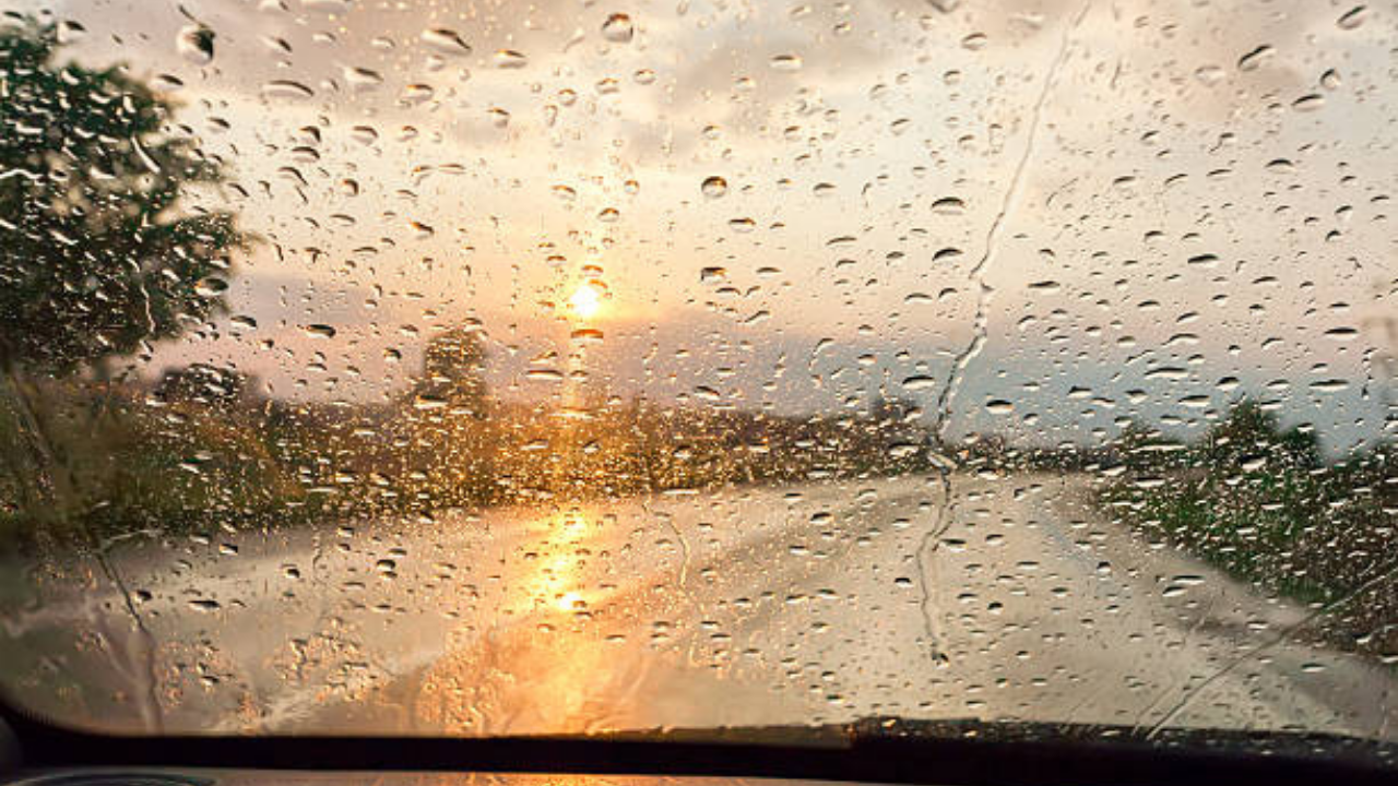 Today's Weather : কি বলছে আজকের আবহাওয়ার পূর্বাভাস? বুধবারের আবহাওয়া আপনাকে চমকে দিতে পারে